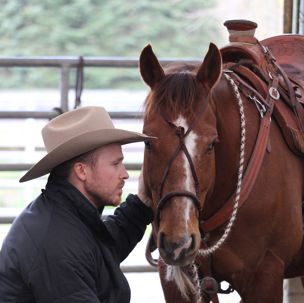 horse mentorship programs