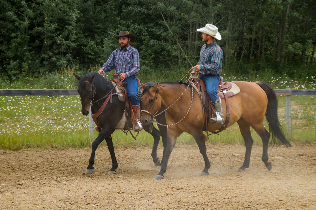 Relational Horsemanship Master Course